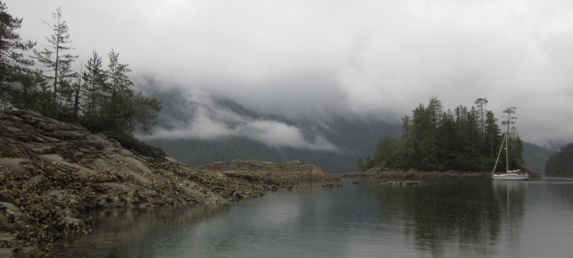 Passion, Reason and the Shore: Reframing the Fossil Fuel Divestment&nbsp;Debate